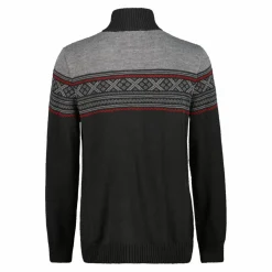 Herren-Sweatshirt mit halbem Reißverschluss in Wooltech><noscript><img width=