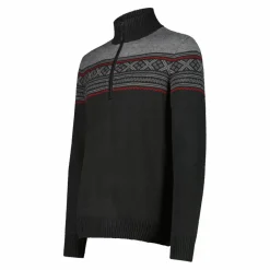 Herren-Sweatshirt mit halbem Reißverschluss in Wooltech><noscript><img width=