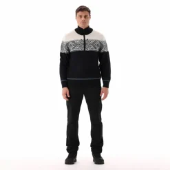 Herren-Sweatshirt mit halbem Reißverschluss in Wooltech><noscript><img width=