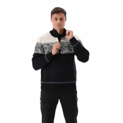 Herren-Sweatshirt mit halbem Reißverschluss in Wooltech><noscript><img width=