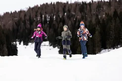 Kinder Mehrfarbige, wattierte Softshell-Handschuhe>CMP Outlet
